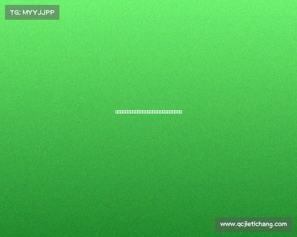 网球运动的魅力与挑战：从基础技巧到职业生涯的全方位解析