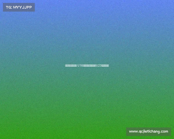 感受德国足球氛围 U16国少队现场观摩门兴U23队精彩对决