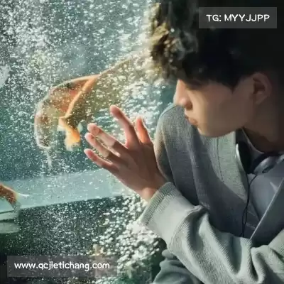 宁登秦